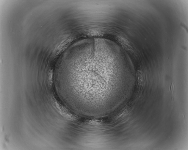 X0000102780550200809021055