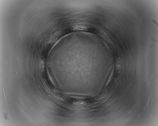 X0000102780551200809021055