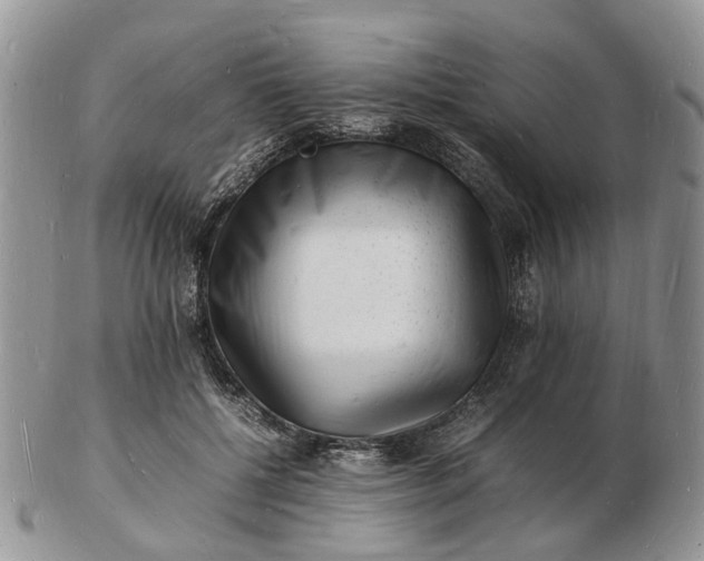 X0000102780552200809021055