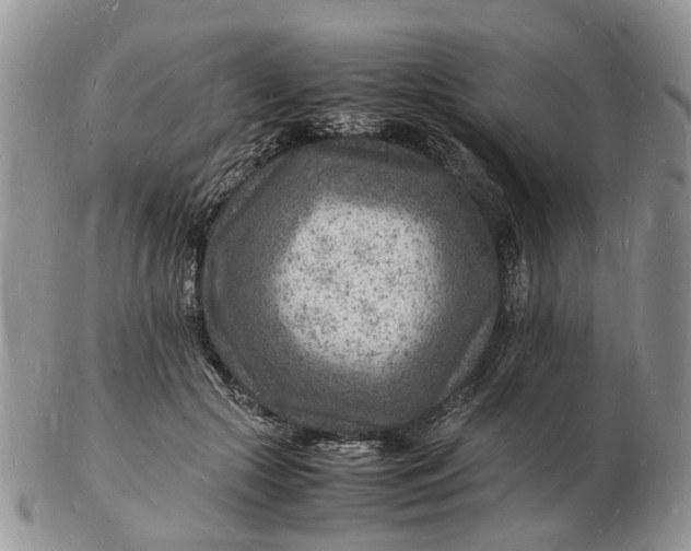 X0000102780553200809021055