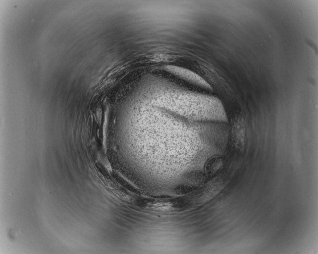 X0000102780554200809021055