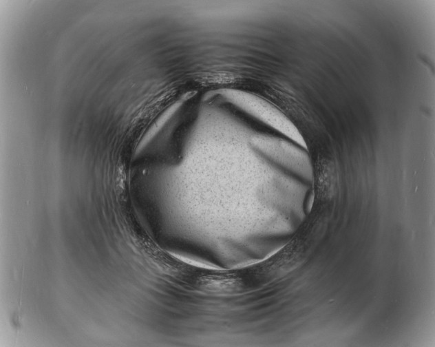 X0000102780555200809021055