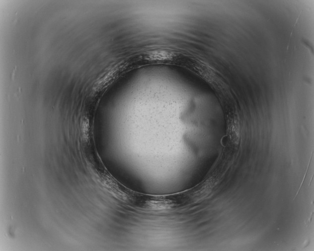 X0000102780556200809021055