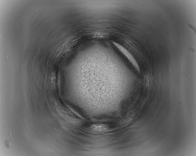 X0000102780557200809021055