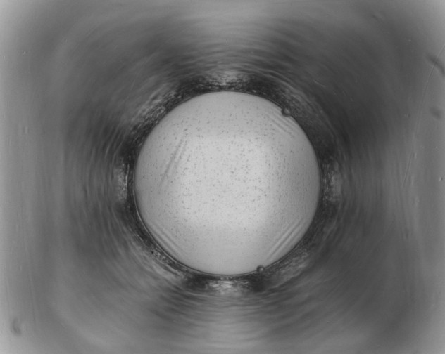 X0000102780558200809021055