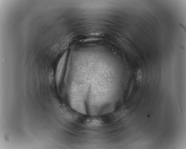 X0000102780559200809021055