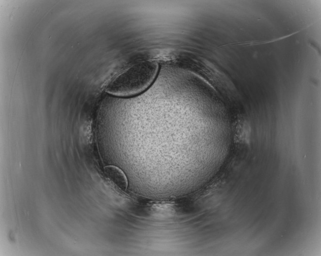 X0000102780560200809021055