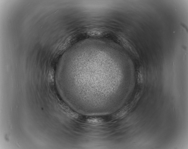 X0000102780561200809021055