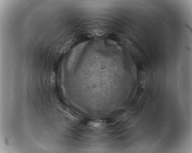 X0000102780563200809021055