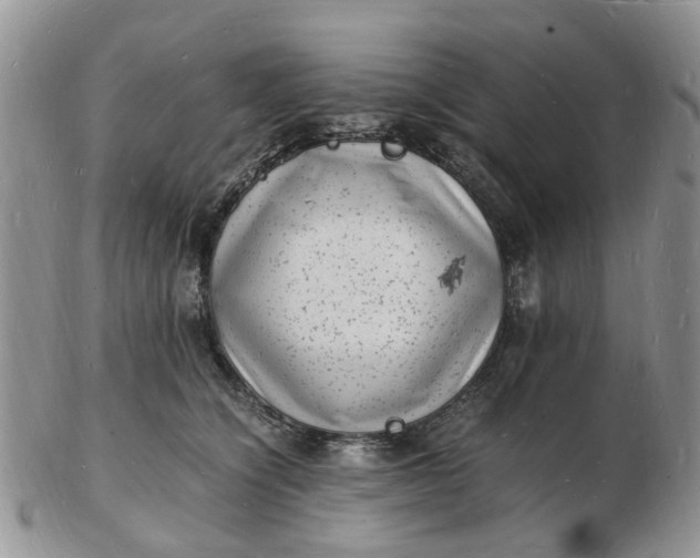 X0000102780564200809021055