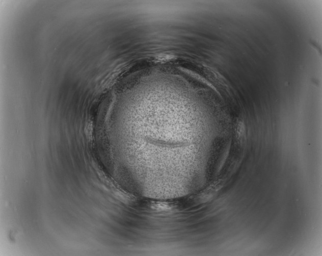 X0000102780565200809021055