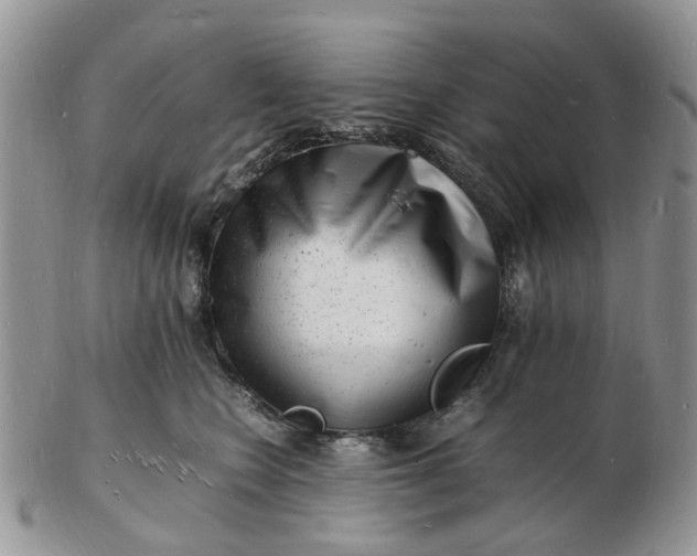 X0000102780566200809021055