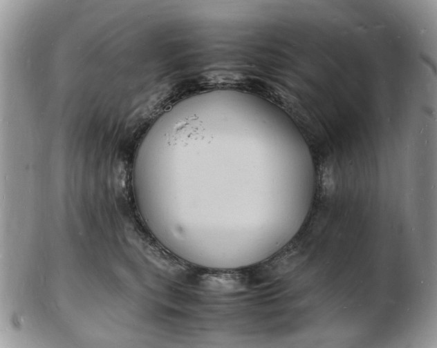 X0000102780567200809021055