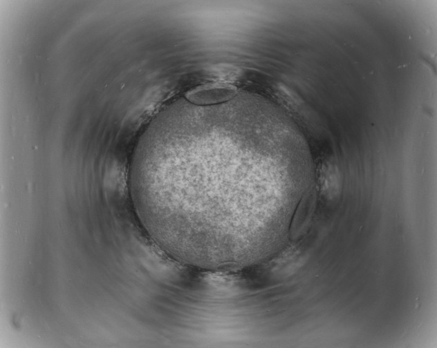 X0000102780568200809021055