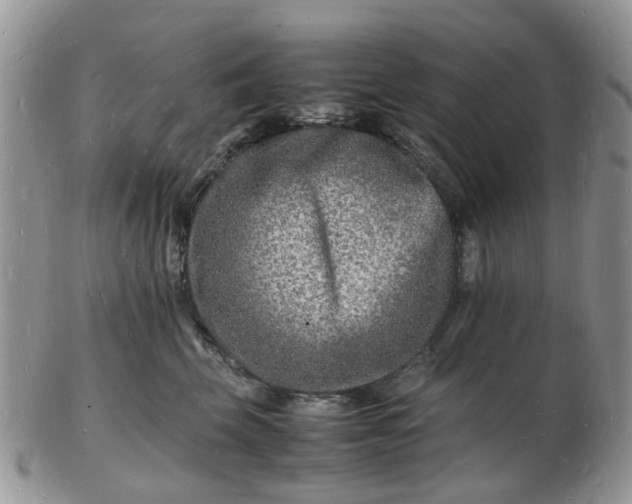 X0000102780569200809021055