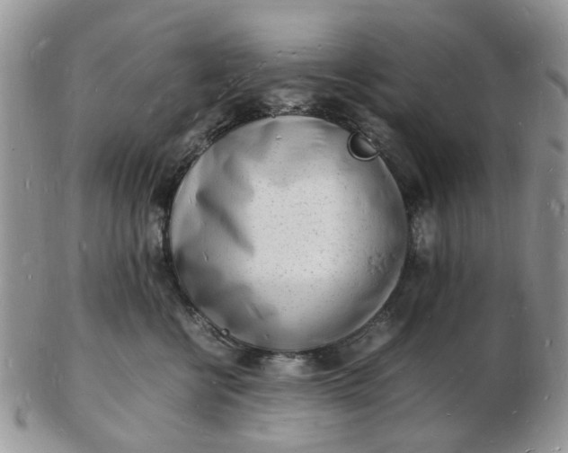 X0000102780570200809021055