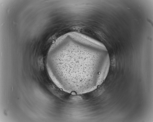 X0000102780572200809021055