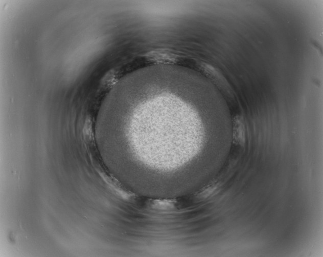 X0000102780573200809021055