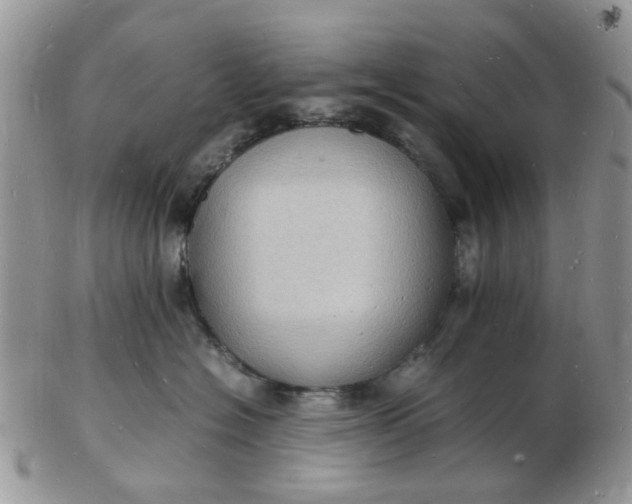 X0000102780574200809021055