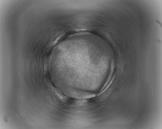 X0000102780576200809021055