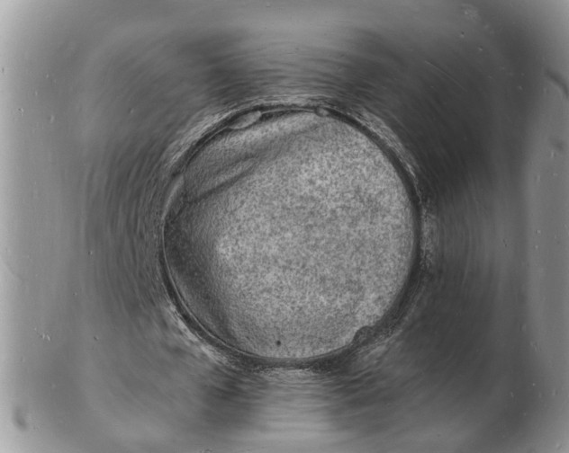 X0000102780577200809021054