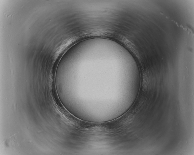 X0000102780578200809021054