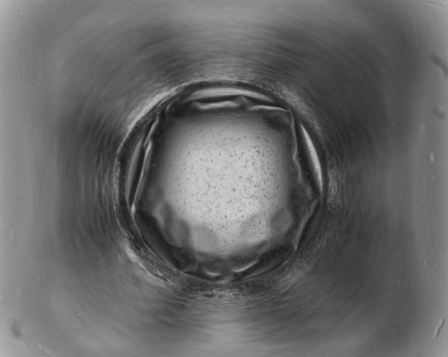 X0000102780580200809021054