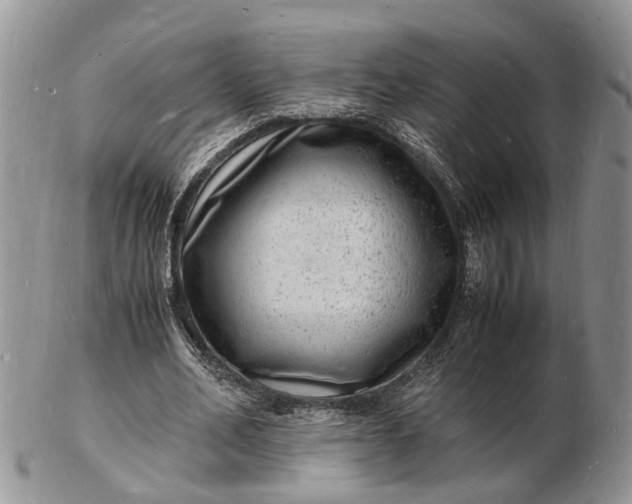 X0000102780582200809021054