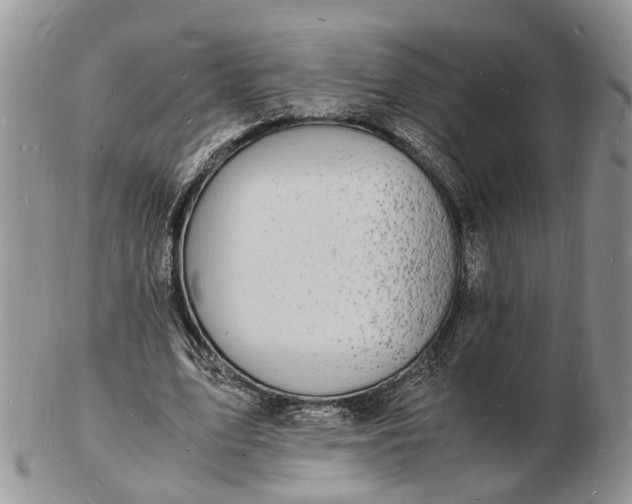 X0000102780583200809021054