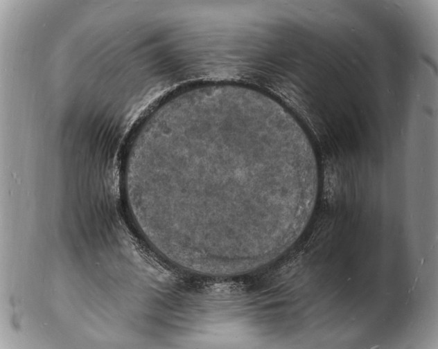 X0000102780584200809021054