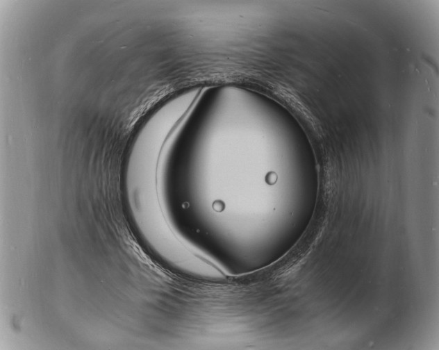 X0000102780585200809021054