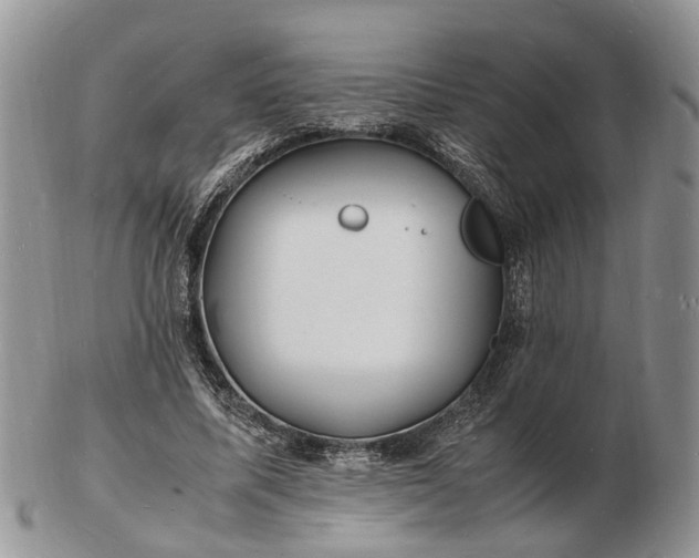 X0000102780587200809021054