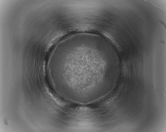 X0000102780590200809021054