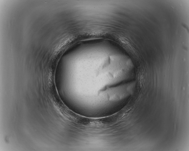 X0000102780591200809021054