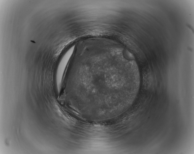 X0000102780592200809021054