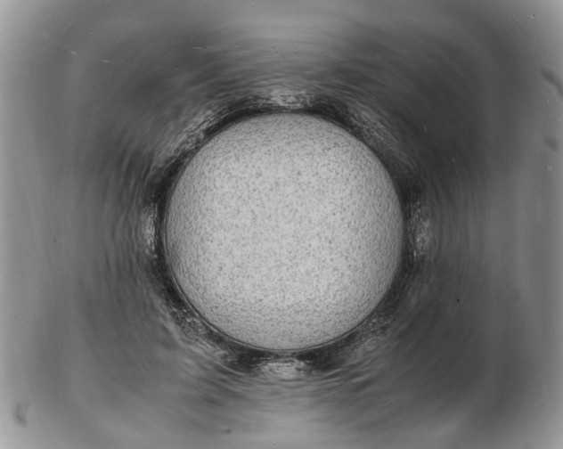 X0000102780595200809021054