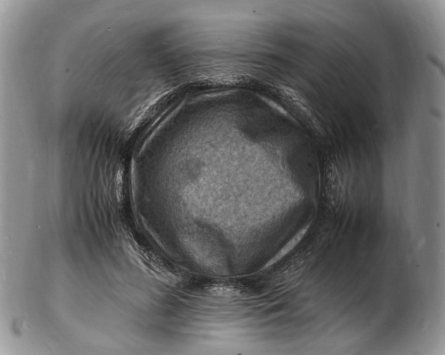 X0000102780596200809021054