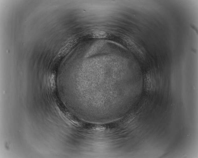 X0000102780598200809021054