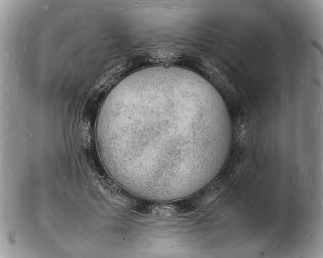 X0000102780599200809021054