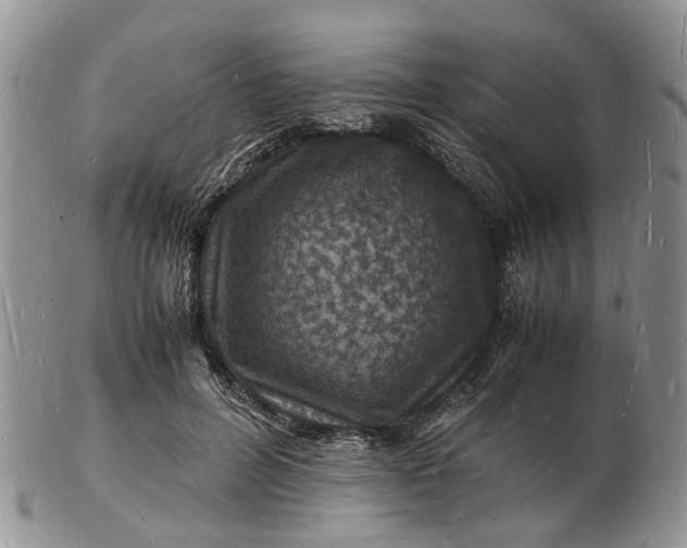 X0000102780600200809021054