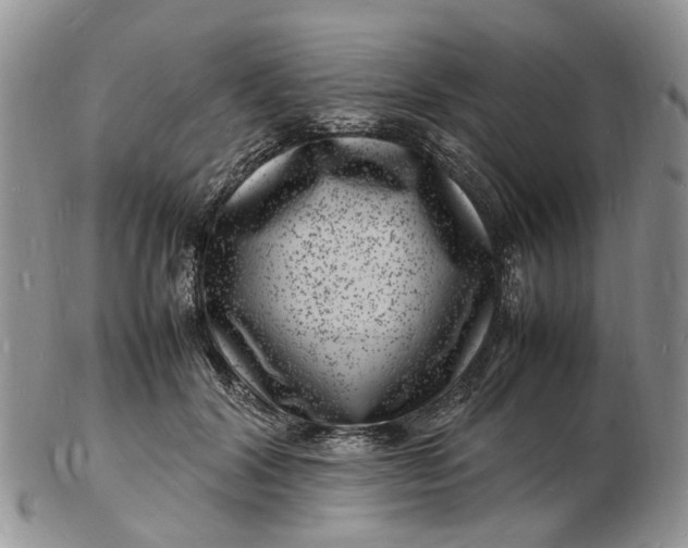 X0000102780604200809021054