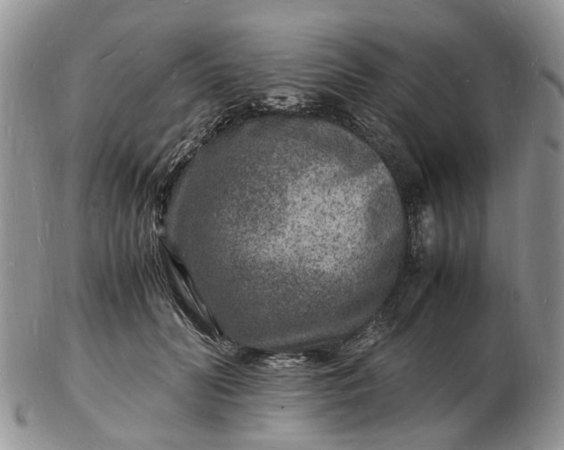 X0000102780606200809021054