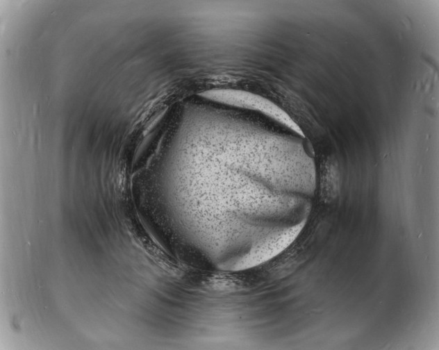 X0000102780608200809021054