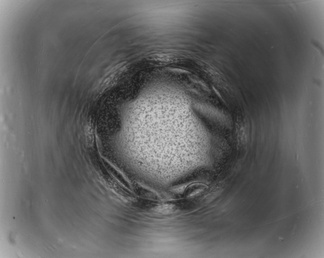 X0000102780609200809021054