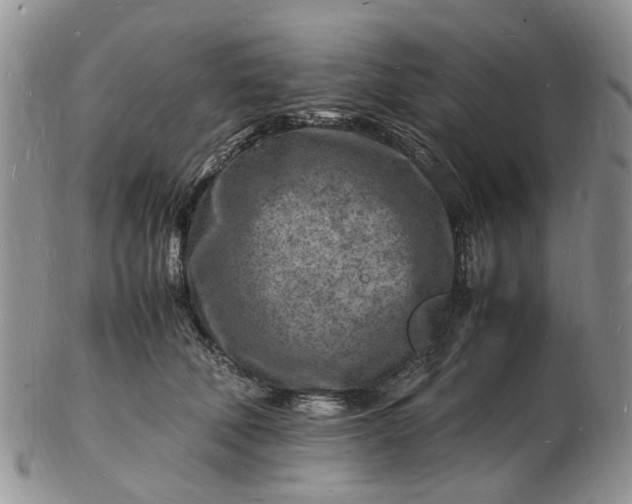 X0000102780610200809021054