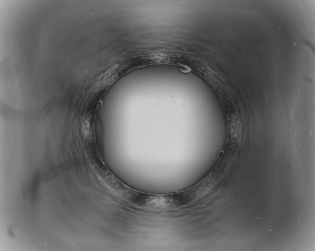 X0000102780611200809021054