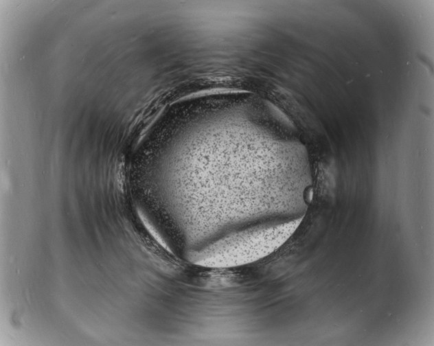 X0000102780612200809021054