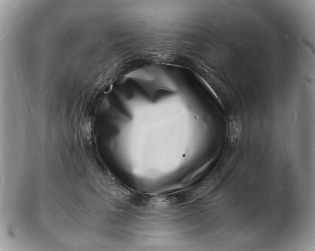 X0000102780613200809021054