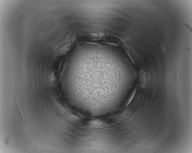 X0000102780614200809021054