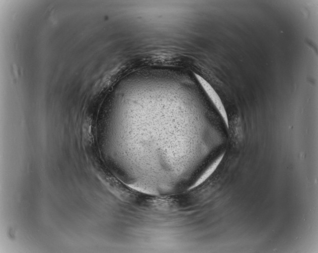 X0000102780615200809021054